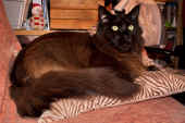 easy_111228_ha_1.jpg.jpg (246584 Byte)