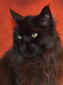 easy_120506_2.jpg.jpg (176318 Byte)