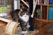 43flint_18mo_09.jpg (140126 Byte)