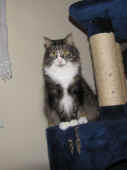4flint_121227_1.jpg.jpg (124531 Byte)