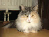 70fabricia_34mo_13.jpg.jpg (119964 Byte)