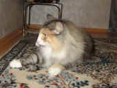 74fabricia_34mo_39.jpg.jpg (157787 Byte)