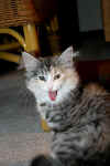 8fabricia_4mo.jpg (92986 Byte)