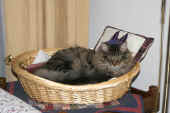 8fidelio_1j_2.jpg.jpg (127308 Byte)