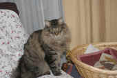 9fidelio_1j_3.jpg.jpg (87892 Byte)