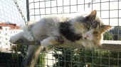 fabricia_110928_1.jpg.jpg (155829 Byte)