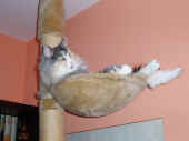 fabricia_7j4mo_1.jpg.jpg (105572 Byte)