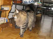 16humphrey_090322_1.jpg.jpg (186896 Byte)