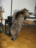 18humphrey_090322_3.jpg.jpg (133547 Byte)