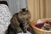 7humphrey_10mo_4.jpg.jpg (37932 Byte)