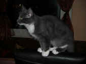 14kopernikus_090106_6.jpg.jpg (74192 Byte)