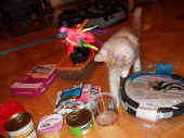 3katana_080601_2.jpg.JPG (95027 Byte)
