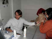 9papa_pierroth_beim_hcm-schall_081213.jpg (93018 Byte)