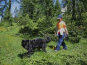 2lea_0603_3.JPG (136544 Byte)