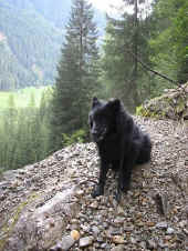3hundstage_ot_03_1.JPG (115247 Byte)