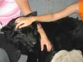 020805_1.jpg (91772 Byte)