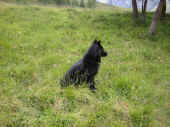 240705_3.jpg (119264 Byte)