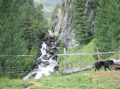 270705_4.jpg (134926 Byte)