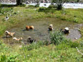 280705_2.jpg (121881 Byte)