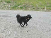 310705_12a.jpg (196030 Byte)