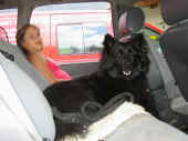 310705_1.jpg (109644 Byte)