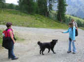 310705_38.jpg (135650 Byte)