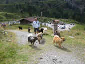 hundstage_ot_03_2.JPG (97376 Byte)