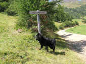 hundstage_ot_03_3.JPG (120829 Byte)