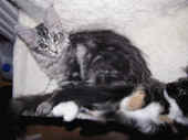 10metaxa_101t_lucy_109t_1.jpg.jpg (94684 Byte)