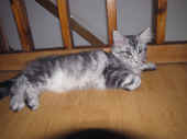 12metaxa_109t_1.jpg.jpg (80315 Byte)