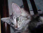 7metaxa_11wo_10.jpg.jpg (104112 Byte)
