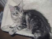 metaxa_14wo_1.jpg.jpg (88601 Byte)