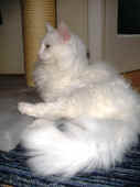 6noshi_091016_1.jpg (199562 Byte)