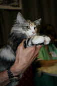 9olympia_137t_100529_nom_wr_neu_2.jpg.jpg (123902 Byte)