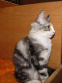 oolympia_16wo_3.jpg.jpg (133928 Byte)