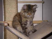 5penelope_100616_3.jpg.jpg (252940 Byte)