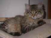 8penelope_100616_9.jpg.jpg (174787 Byte)