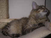 9penelope_100616_10.jpg.jpg (169802 Byte)