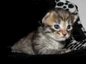 penelope_2wo_10.jpg.jpg (120032 Byte)