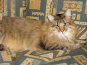 picasso_120607.jpg (10).jpg (230326 Byte)