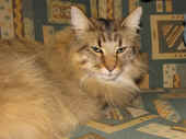 picasso_120607.jpg (13).jpg (177743 Byte)