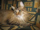picasso_120607.jpg (2).jpg (197657 Byte)