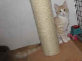 3tristan_19wo_3.jpg.jpg (120681 Byte)