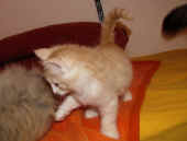 7tristan_48t_2.jpg.jpg (133301 Byte)