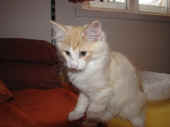 tristan_12wo_23jpg.jpg (1736834 Byte)