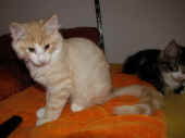 tristan_15wo_1.jpg.jpg (120025 Byte)