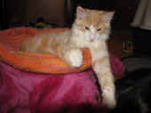 tristan_21wo_1.jpg.jpg (113805 Byte)