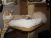 tristan_40wo_2.jpg.jpg (122338 Byte)
